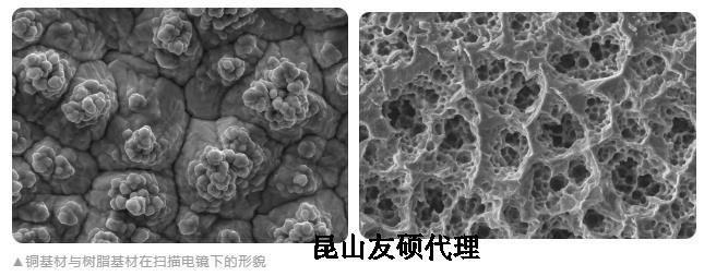 河北蔡司河北扫描电镜